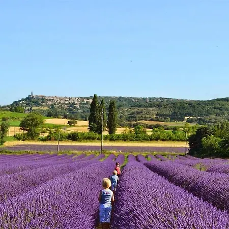 Lovely In Victor La Coste With Wifi * Saint-Victor-la-Coste